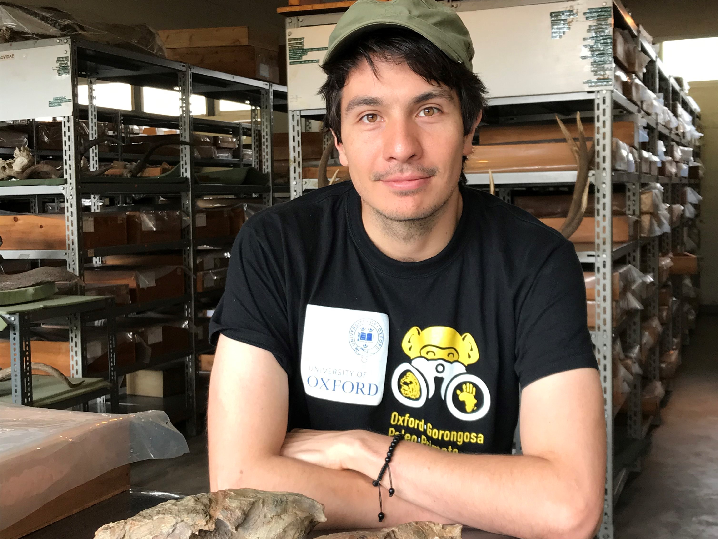 Dr Thomas Püschel pictured alongside fossils at at the Nairobi National Museum in Kenya, where he studied comparative collections and scanned material for comparison Dr Thomas Püschel pictured alongside fossils at at the Nairobi National Museum in Kenya, where he studied comparative collections and scanned material for comparison