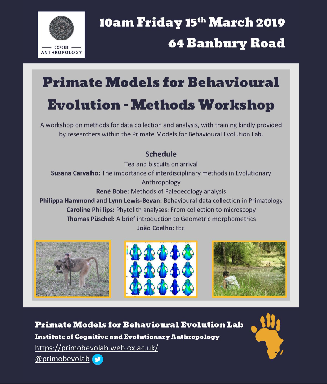 Primate Models Behavioural Evolution Methods Workshop - Poster
