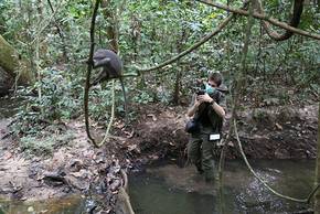 Dr Alex Mielke photographed collecting video footage of primates in the field