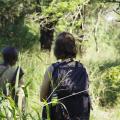  Following baboons in the woodland of Gorongosa