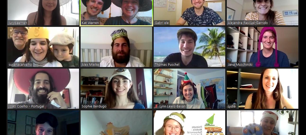 Our Primate Models for Behavioural Evolution Lab members participarting in a virtual celebration quiz via a Zoom call - there were points for the best hat so everyone is sporting headware of some kind (the winning hat featured a chicken)!