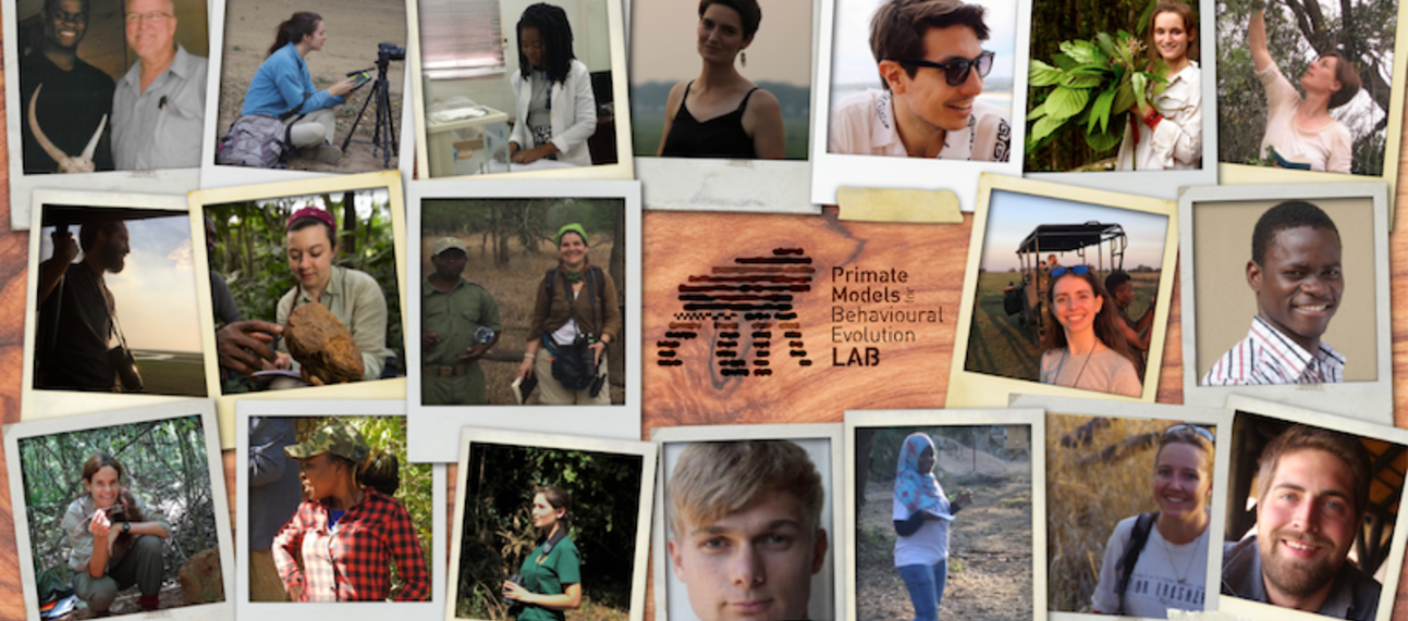 Polaroid-style photographs of the members of the Primate Models for Behavioural Evolution Lab as of March 2021, created by João d'Oliveira Coelho