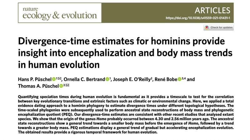 Header and abstract of a Nature Ecology & Evolution paper: Püschel H.P., Bertrand O., O’Reilly J.E., Bobe R., Püschel T.A. 2021. Divergence-time estimates for hominins provide insight into encephalization and body mass trends in human evolution.