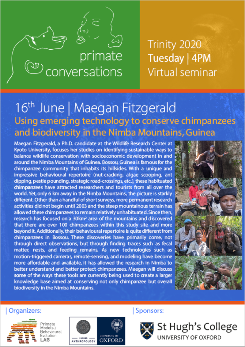 Advertisement poster for Primate Conversations with Maegan Fitzgerald on Tuesday 16th June 2020, 4pm