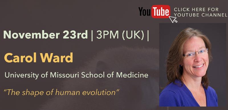 Primate Conversations with Carol Ward - 23rd Nov 2021: "The shape of human evolution"