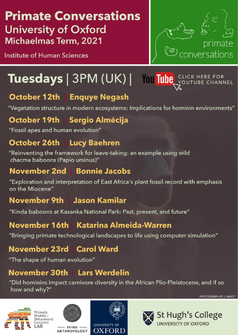 Primate Conversations poster for Michaelmas Term 2021, Tuesdays 3pm (UK time), starting October 12th on our YouTube channel