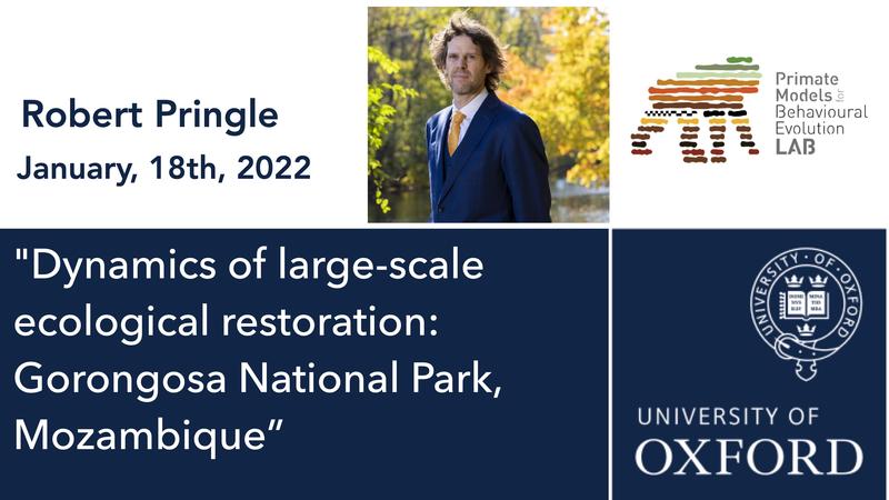Primate Conversations with Robert Pringle - 18th Jan 2022: 'Dynamics of large-scale ecological restoration: Gorongosa National Park, Mozambique'