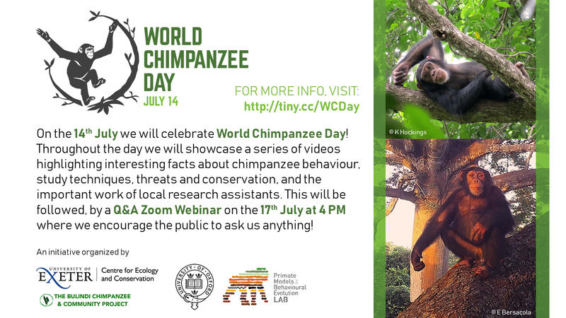 World Chimpanzee Day advertisement poster