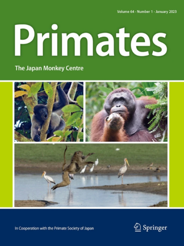 Cover illustration of Primates Journal vol. 64 (2023), featuring a baboon of Gorongosa National Park photographed by Lee Bennett