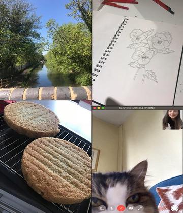 Lucy's non-academic activities - images showing a river flanked by trees and greenery taken from a bridge, a drawing of flowers, homebaked sponge cake, and Lucy on FaceTime to her cat