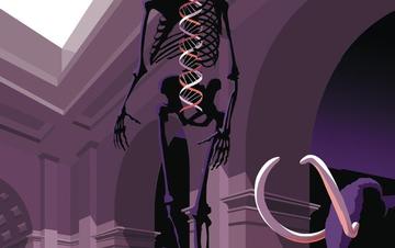 Illustration by Pascal Blanchet in "How Scientists Discovered the Staggering Complexity of Human Evolution", published in the 175th Anniversary Issue of Scientific American by Kate Wong Illustration by Pascal Blanchet in "How Scientists Discovered the Staggering Complexity of Human Evolution", published in the 175th Anniversary Issue of Scientific American by Kate Wong