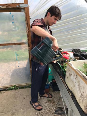 Thomas watering his plants inside a greenhouse at his allotment