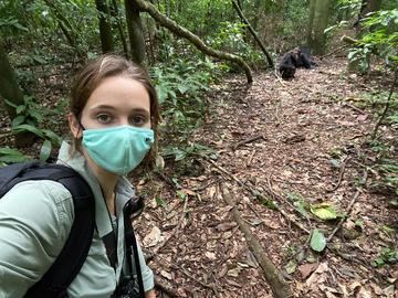 Elodie Freymann conducting fieldwork with chimpanzees at the Budongo Forest Reserve, Uganda in August 2021 (photo by Elodie Freymann)