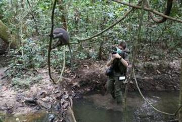 Dr Alex Mielke photographed collecting video footage of primates in the field Dr Alex Mielke photographed collecting video footage of primates in the field