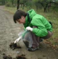 Caroline collecting samples in the field