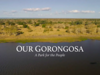 Advertisement for the documentary - "Our Gorongosa: A Park for the People"