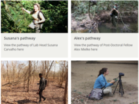 A preview of the new 'Pathways into Academia' page highlighting the profiles of Susana, Alex, Jacinto and Lucy