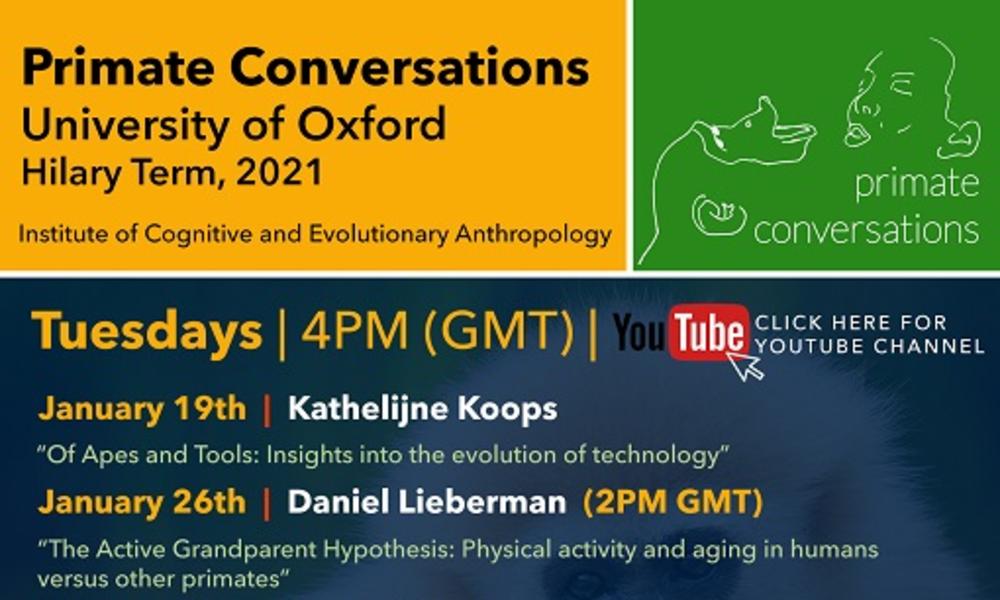 Primate Conversations schedule for Hilary Term 2021, Tuesdays at 4PM (GMT) Primate Conversations schedule for Hilary Term 2021, Tuesdays at 4PM (GMT)