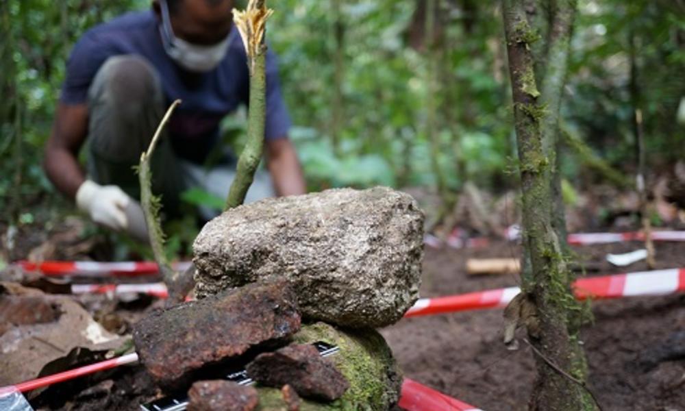 Lydia Luncz spent two months in 2017/18 the tropical rainforest of the Ivory Coast Lydia Luncz spent two months in 2017/18 the tropical rainforest of the Ivory Coast