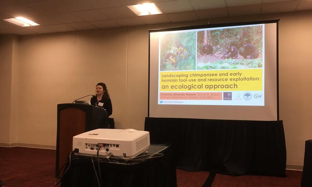 Katarina Almeida-Warren giving a podium talk at the PaleoMeetings 2019 Katarina Almeida-Warren giving a podium talk at the PaleoMeetings 2019