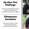 World Chimpanzee Day 14 July 2021 - Up-Goer Five Challenge (share your chimpanzee research using only the 1000 most commonly used words) and Chimpanzee Anecdotes (share your funniest or most interesting stories from working with chimpanzees)!