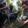 Research assistants Lawe Goigbe and Henry Camara with Katarina Almeida-Warren in a forest looking down at a stone used my chimpanzees for cracking nuts. Lawe holds a rod with red stripes whilst Henry holds a data collection tablet. Photo by Cyril Russo.